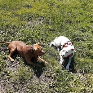 Meet your Posher, Reggie